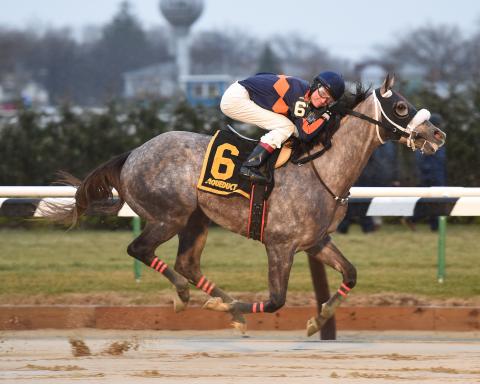 El Areeb proved much the best in the Grade 3 Jerome Stakes on Jan. 2 at Aqueduct.